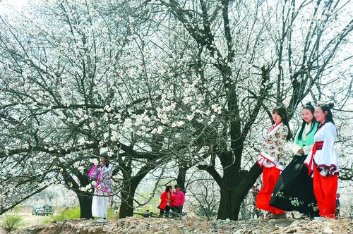 五星体育app 界面预览